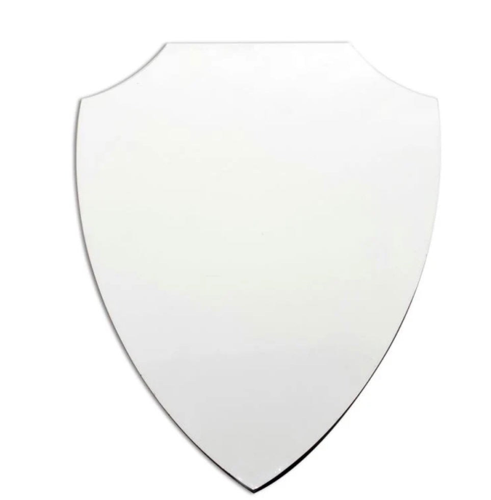 Custom Shield